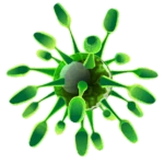 viruses android application logo